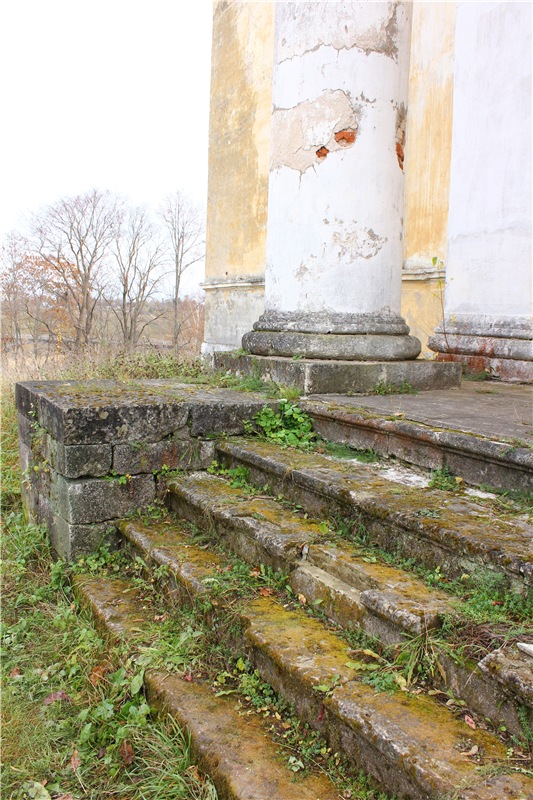 Осеннее путешествие с Мишей. Zwergnase Mischa | Бэйбики Осеннее путешествие с Мишей. Zwergnase Mischa