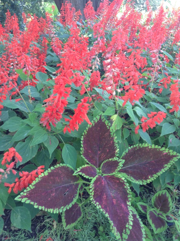 Путешествие Минуш в Испанию. Каталония. Ч.3. Райские сады