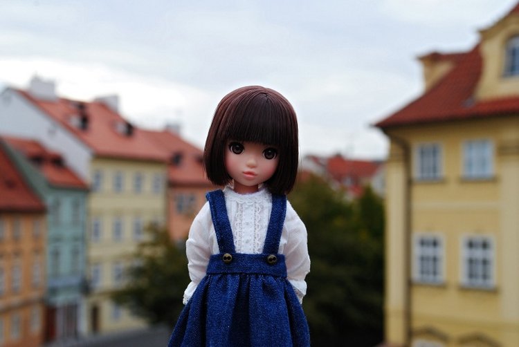 Девочки и их приключения или Ruruko от Petworks | Бэйбики Девочки и их приключения или Ruruko от Petworks