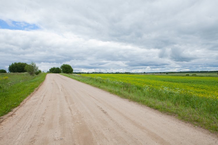 Первая поездка Мари с братьями эльфами (2 часть)