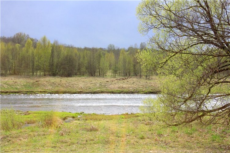 Заблудилась. Georgia от Berdine Creedy