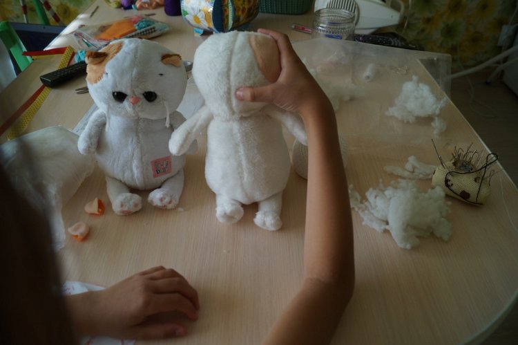 Как Агаша кошечку шила — Другие хобби и увлечения: сад