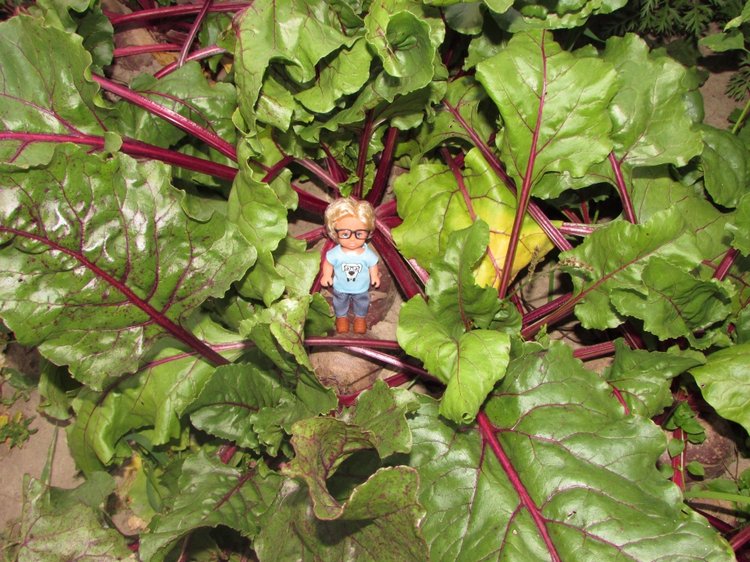 Путешествие в Нижегородскую область - часть 3 - Тимошка на усадьбе