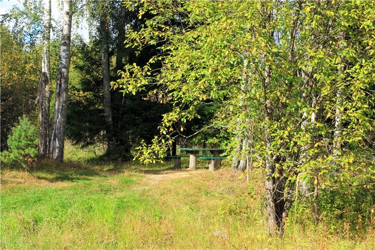 Лучистый Сентябрь — Редкие антикварные куклы и реплики: воск (фото 7)