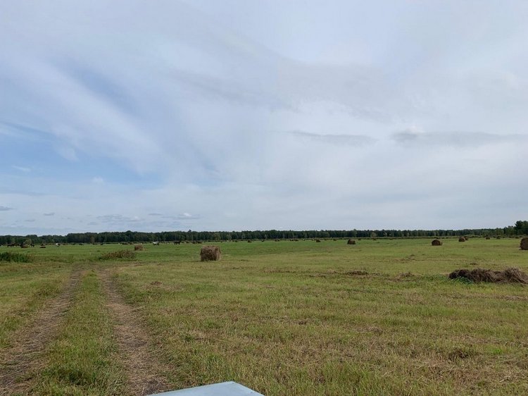 Лето - это маленькая жизнь (фото 4)