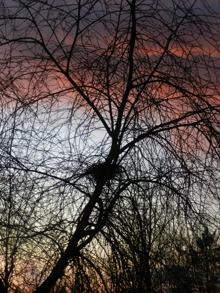 Фотосессия девочек от Heidi Plusczok. Старшенькие