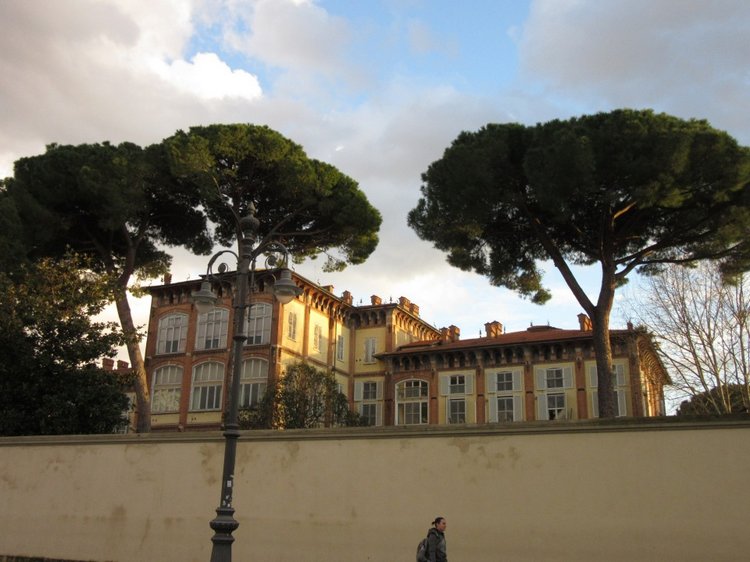 До пандемии. Путешествие по Италии, часть 2 (вечерняя Пиза) (фото 6)