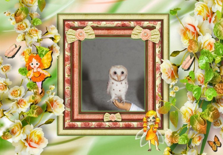 Маленькое Чудо - "Совёнок Рокки"