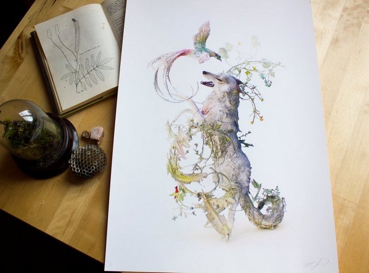 EllenJewettPrintShop - "Сюрреалистическая естественная история" by Ellen Jewett