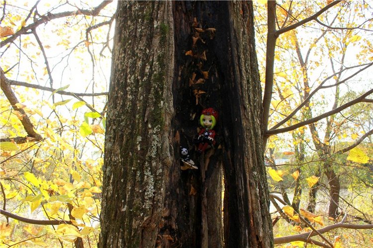 Путешествие Dal Hangry в Грузины, продолжение