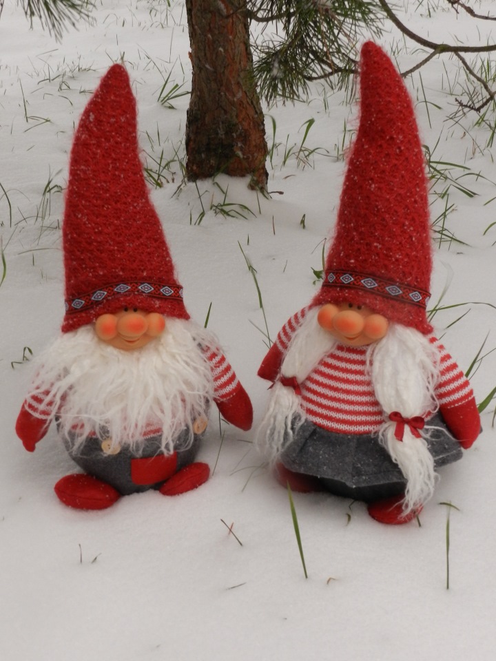 Наши зимние прогулки. Сабрина от Zawieruszynski