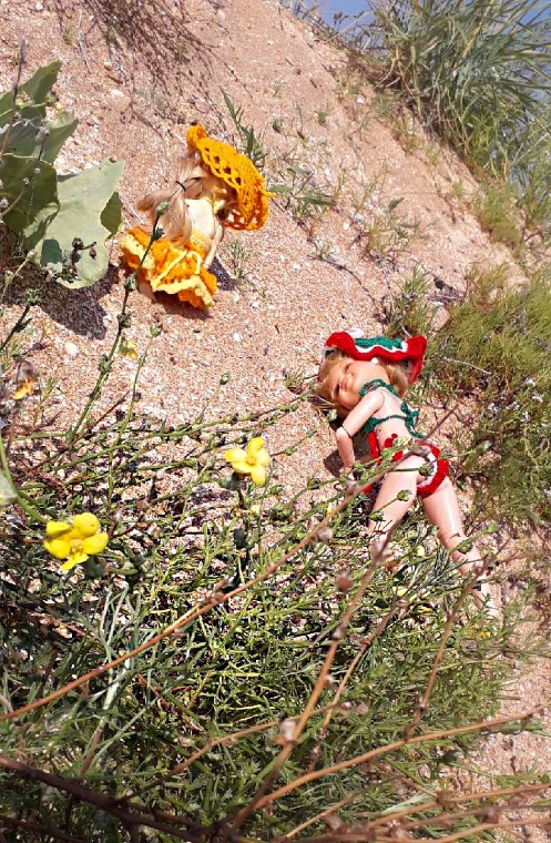 Конец... Лету — Игровые куклы разных производителей (Разное): редкие бренды