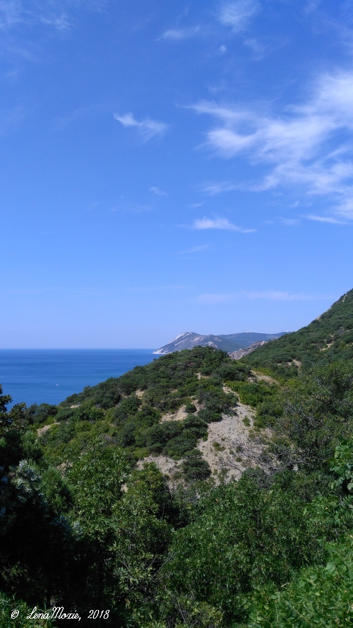 Kidz' тур. Юлино лето — Куклы Kidz'n'Cats (Соня Хартман): шарнирные 46 см (фото 3)