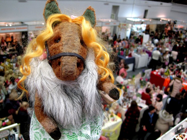 Лошадка Света. Знакомство