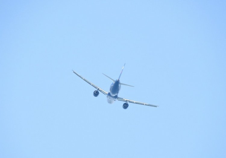 Краснодарский Край, Сочи-Адлер, Санаторий «Южное Взморье»