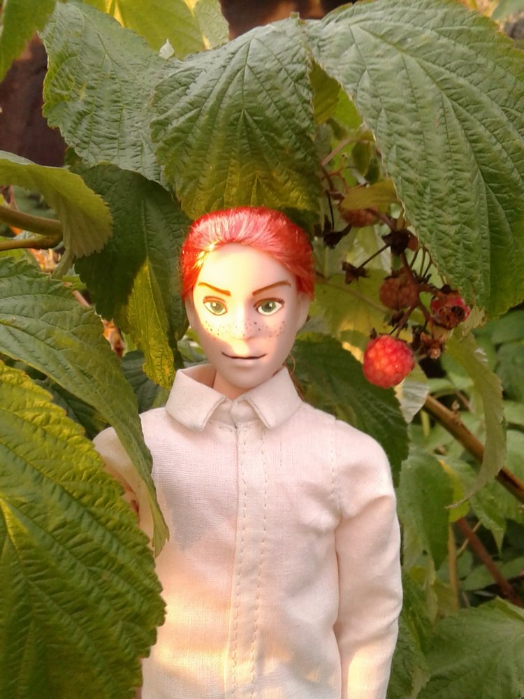 Кто же там, в малиннике — Куклы и тела Obitsu (Обитсу): 1/6 (фото 5)