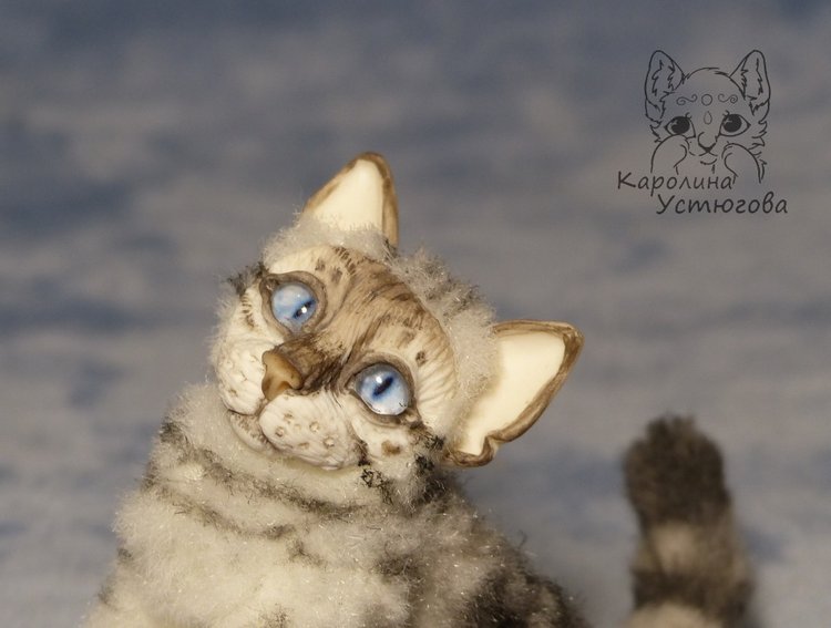 Бенгальская кошка, серебристая