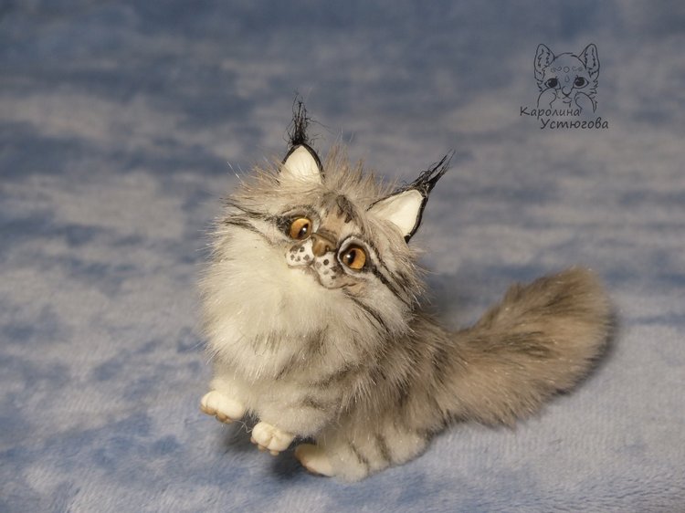 Мейн-ку́н, миниатюра. Серебристый окрас