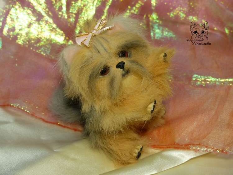 Еще один щенок Йоркширского терьера