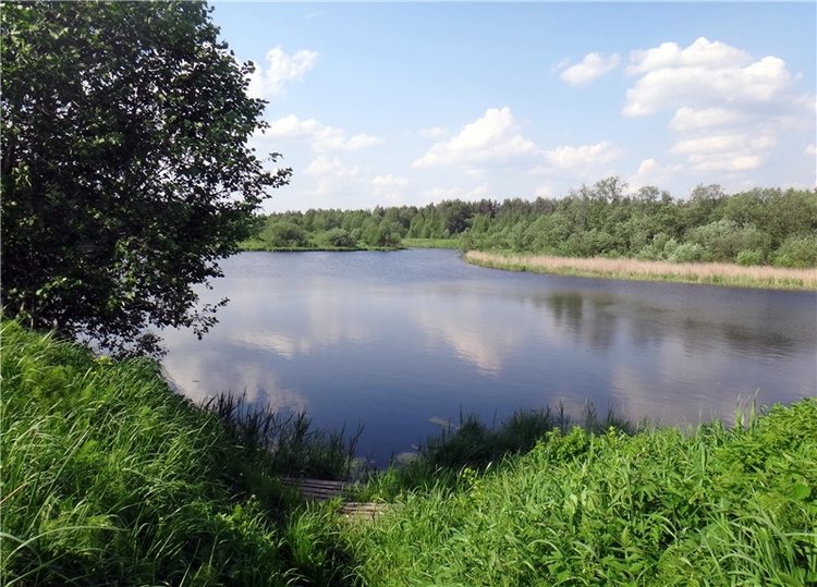 Ландышевая Сказка — Куклы Heidi Plusczok (Хайди/Хейди Плюсчок) — фото (фото 4)