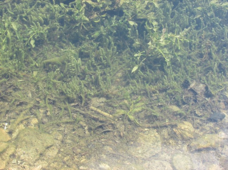 Моя кукольная семья на прогулке в Измайловском Парке (фото 3)