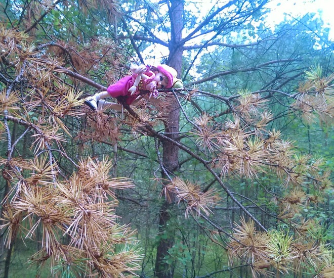 Лесные приключения... Волшебство, сосны, грибы, полетаем)