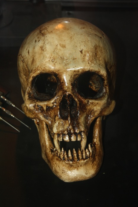 Петербург. Музей НЕправды (18+). Часть 2 (фото 8)