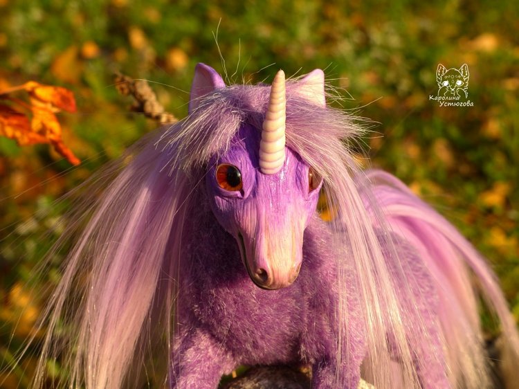 Единорог-страна мечты. Осеняя прогулка