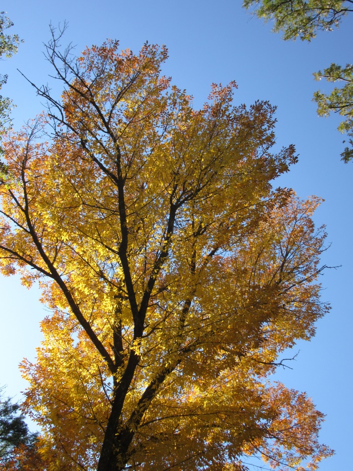 Выходной с Хеленой в Таганроге