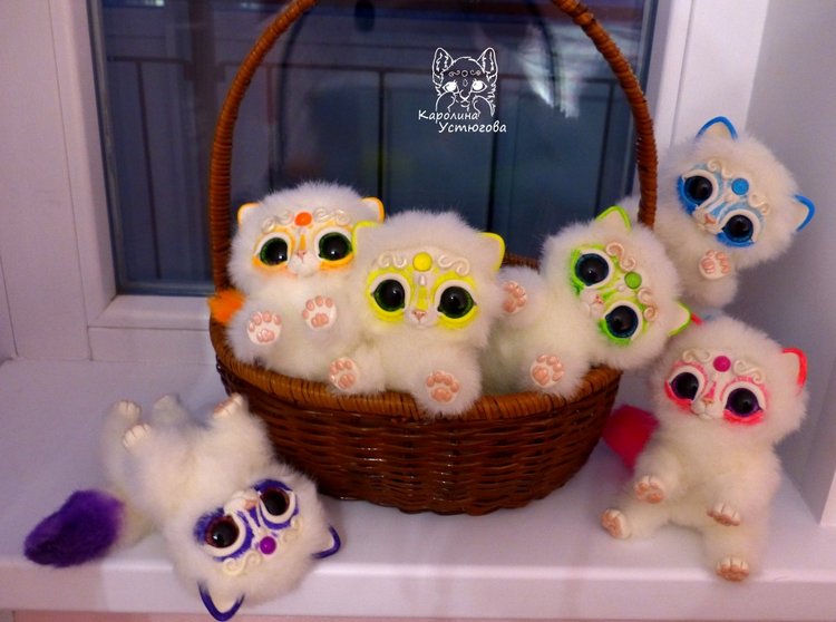 Королевские волшебные коты, породы: Мирис. В кадре и за кадром. Процесс (фото 7)