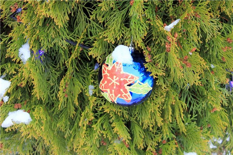 Рождественская Старица — Туризм и путешествия: фотоотчеты из поездок