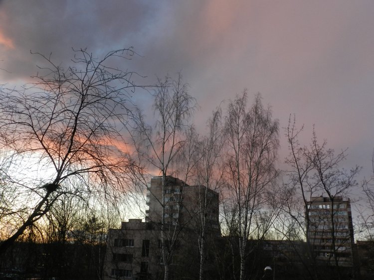 Фотосессия девочек от Heidi Plusczok. Старшенькие