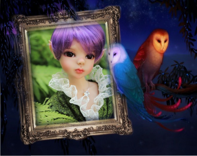 Эльфийский лес — Разные куклы BJD (БЖД): редкие бренды