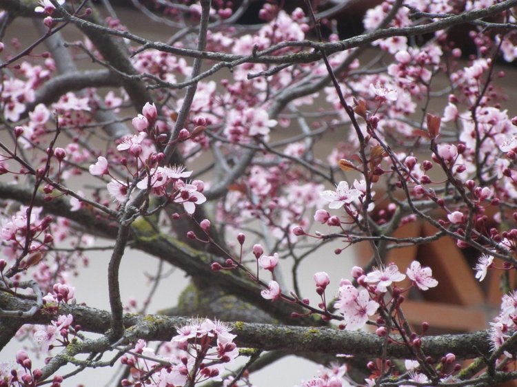 До пандемии. Путешествие по Италии, часть 3 (Флоренция, аутлет Барберино)