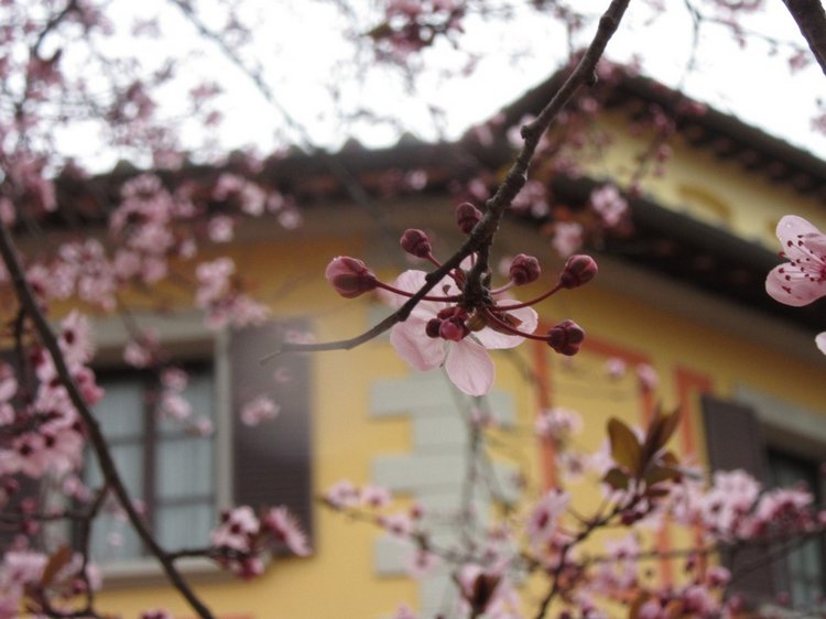 До пандемии. Путешествие по Италии, часть 3 (Флоренция, аутлет Барберино)