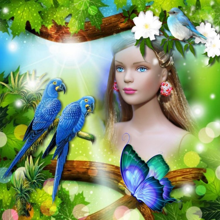 Мои Тоннерки. Фотозарисовки (фото 9)