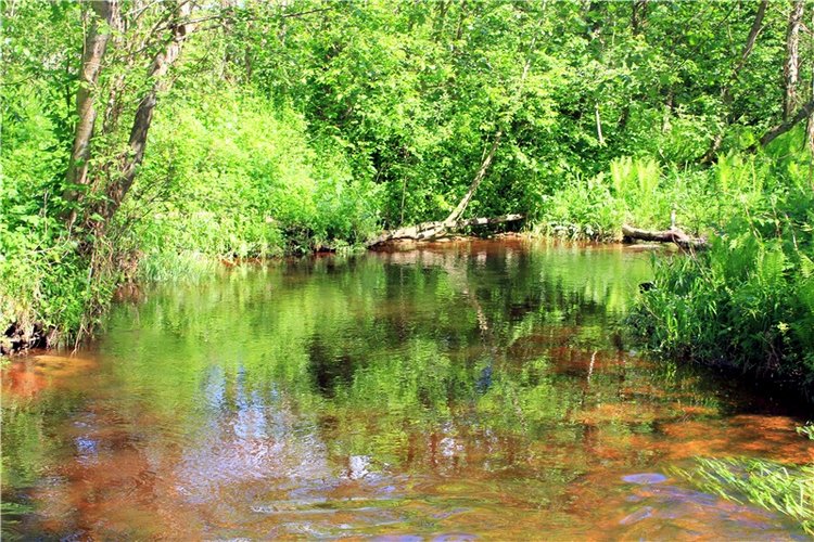 Затерянный Мир — Красивая природа и цветы: фото пейзажей