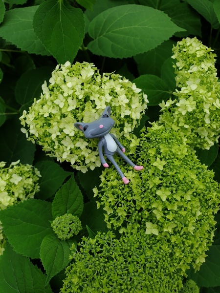 Лягушонок превращается в... мышонка