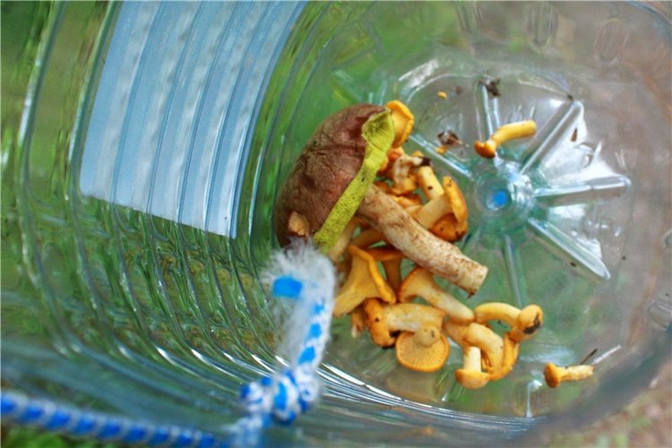 Путешествие Эли на красивый берег реки Волги