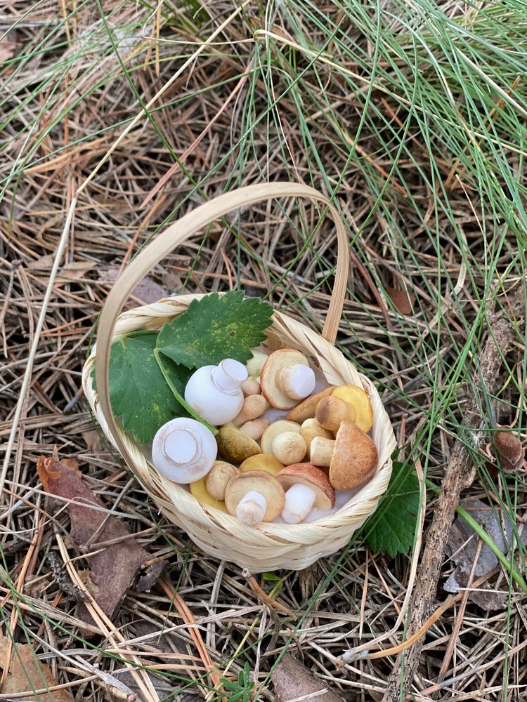 Как Варя ходила за грибами. Fabbi Chibbi Meadow dolls | Бэйбики Как Варя ходила за грибами. Fabbi Chibbi Meadow dolls