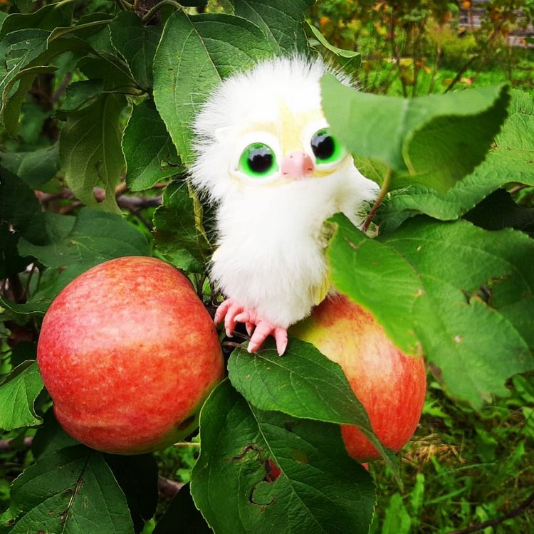 Последние денечки лета.... Совенок Желточек, дача и другие дачные жители (фото 7)