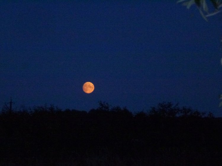 Отдых в деревне с Джой — Туризм и путешествия: фотоотчеты из поездок