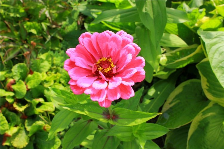 Сентябрьское путешествие в Старицу. Старицкий Свято-Успенский Монастырь