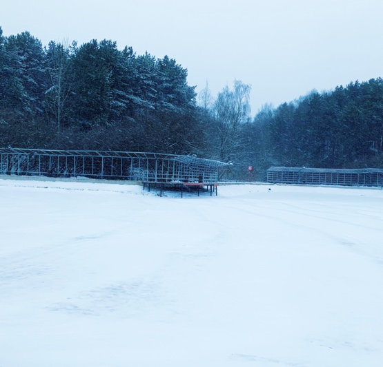 Поднимаем новогоднее настроение (фото 4)