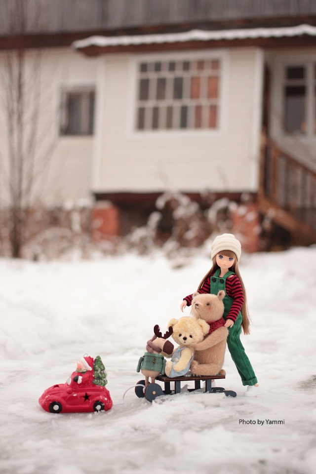 Новогодние каникулы в деревне