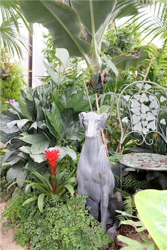 Тверской Ботанический Сад, продолжение | Бэйбики Тверской Ботанический Сад, продолжение