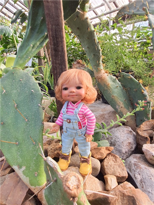 Выставка тюльпанов в Твери, продолжение