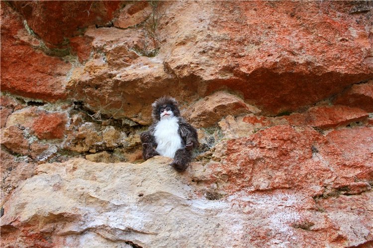 Имани и Водопад — Куклы Kaye Wiggs (Кайе Виггс): авторские BJD (БЖД)