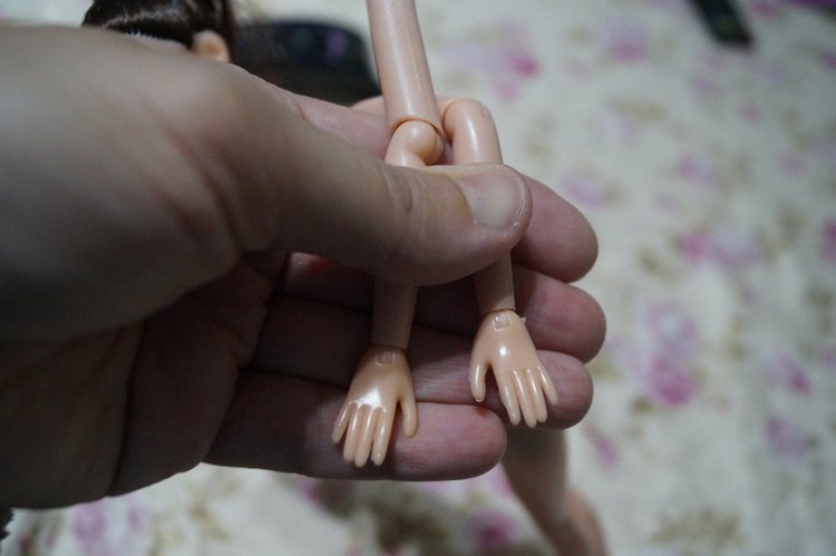 Третья выписка сентября. Перелом колена, сломано крепление руки в плече, сгрызена кисть или полное её отсутствие - это все