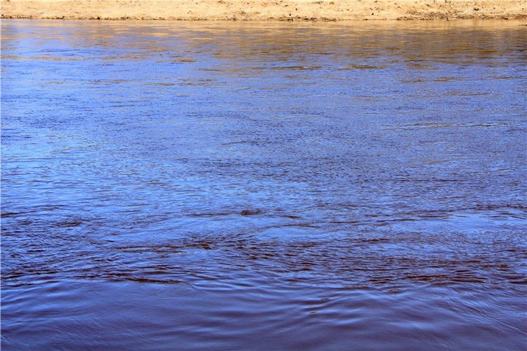 Апрельский день в Василёво, продолжение (фото 10)